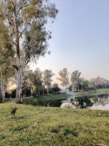 Chirahula Hanuman Mandir rewa
