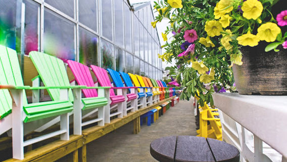 Bridge Street Blooms