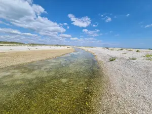 OBITOCHNA KOSA