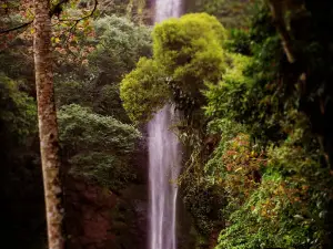 Cascada "La escondida"