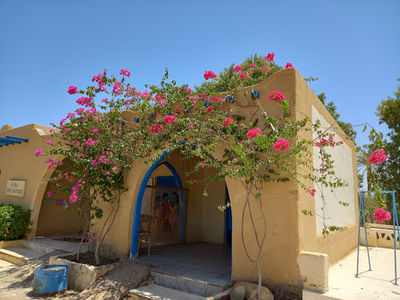 Fayoum Art Center
