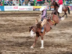 Newport Fairgrounds