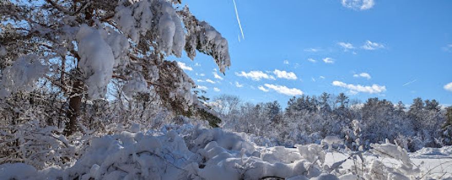 Great Brook Ski Touring Center