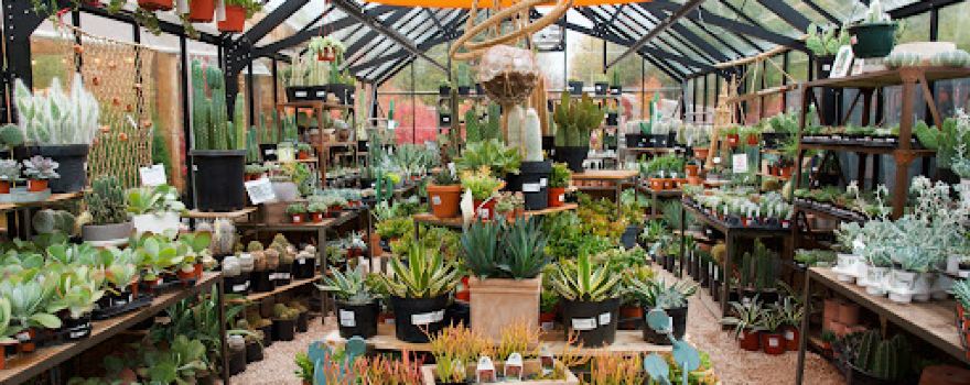 Art's Nursery Garden & Home