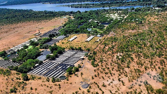 Zambezi National Park