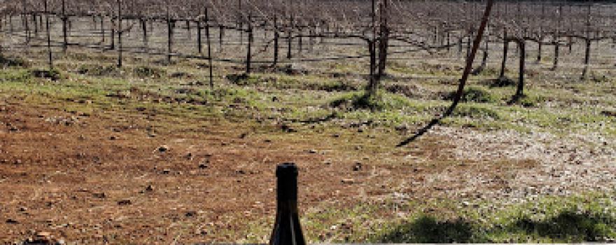 Mount Tehama Winery