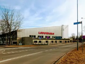 OSiR Swidnica rink