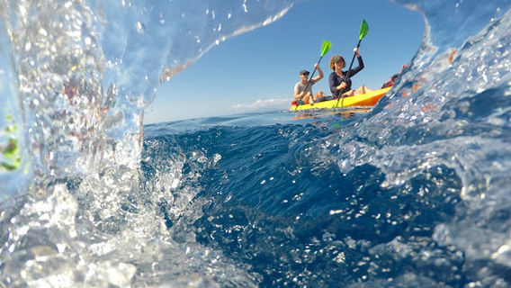 Hawaiian Paddle Sports LLC