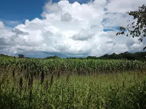 Cachoeira Francisco - Parque Estadual Caminho dos Gerais