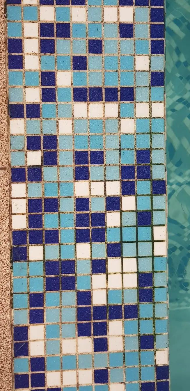 2_7 ocean
