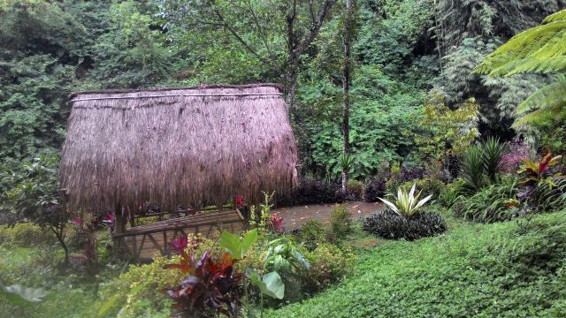 Coban Jahe Waterfall