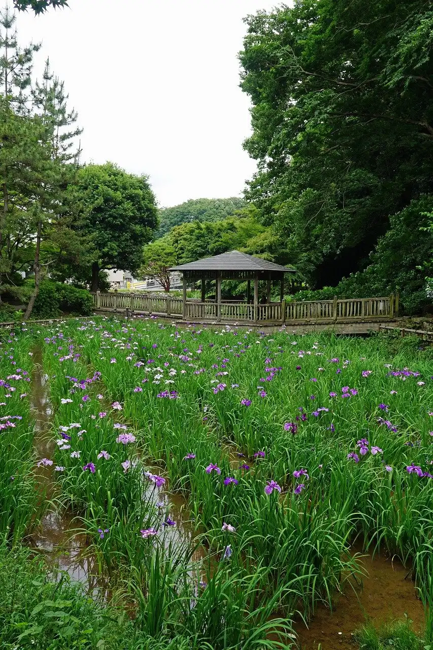 鄰近生田綠地的酒店