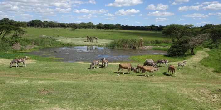 Mukuvisi Woodlands