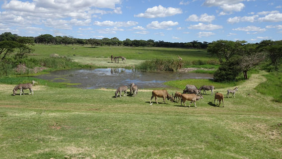 Mukuvisi Woodlands
