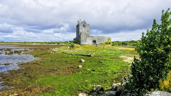 Dunguaire Castle