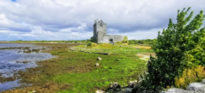 Dunguaire Castle
