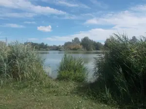 ウルバーノ G. バッサーニ公園