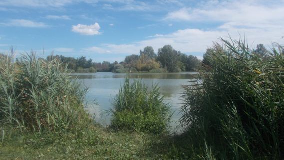Parco Urbano G. Bassani