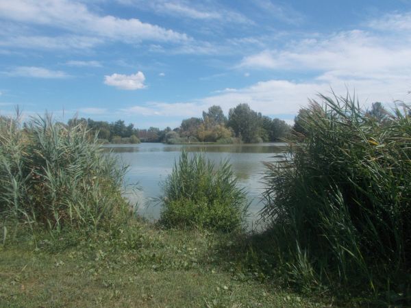 Parco Urbano G. Bassani