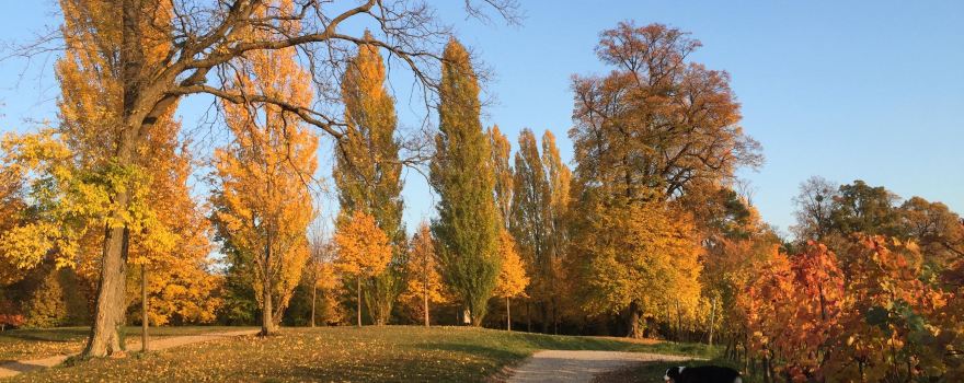 Staatspark Furstenlager