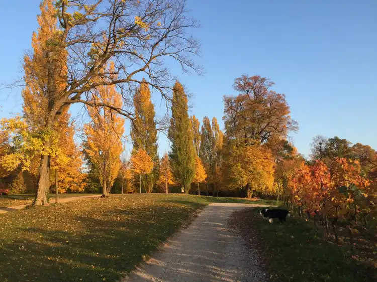 Bensheim