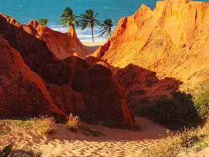 Natural Monument of Beberibe Cliffs
