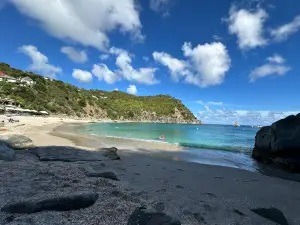 Shell Beach