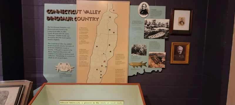 Dinosaur State Park
