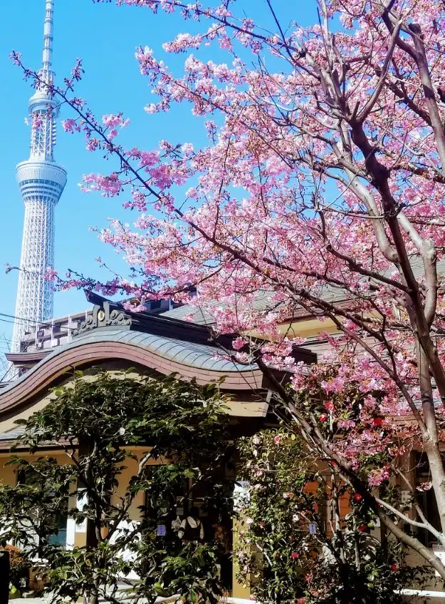 Hotel in zona Ryuganji