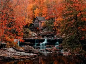 Babcock State Park