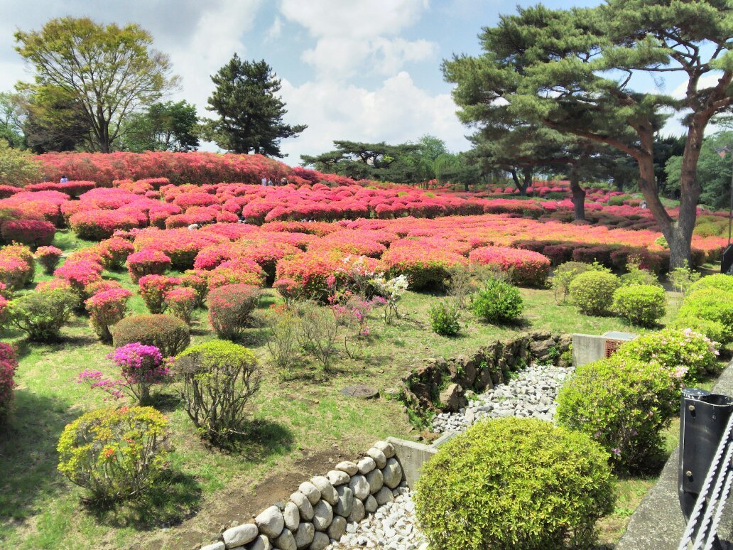 静岡 小室山公園 往復バス＋ケーブルカー Eチケット 予約