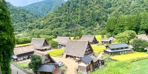 菅沼的合掌造集落