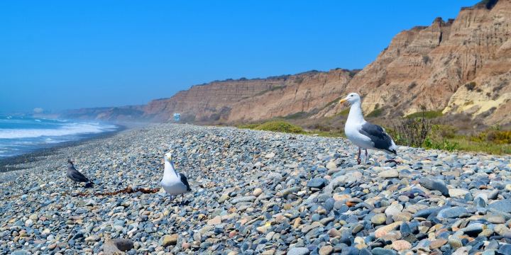San Onofre State Beach