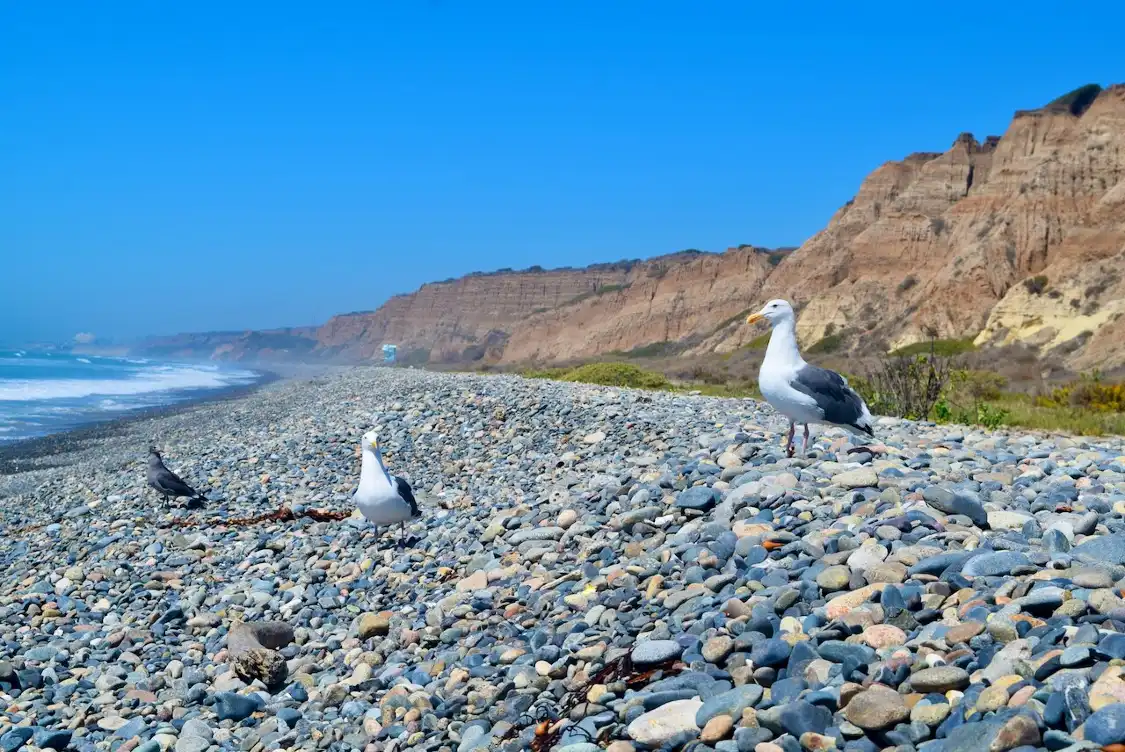 Hotels near San Onofre State Beach