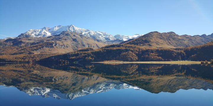Engadine