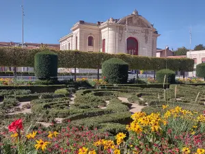 Goya Museum