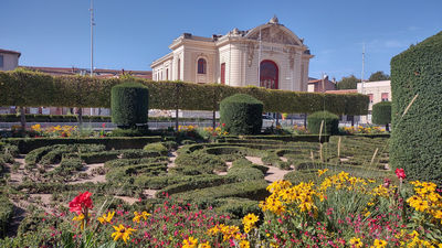 Goya Museum