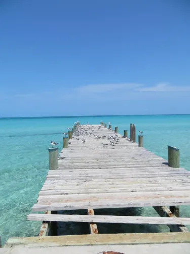 Tarpum Bay