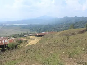 Pangsau Pass