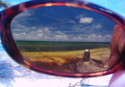 Turneffe Reef