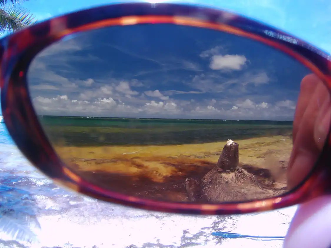 Hotels near Turneffe Reef