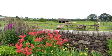 Cobble Hey Farm & Gardens