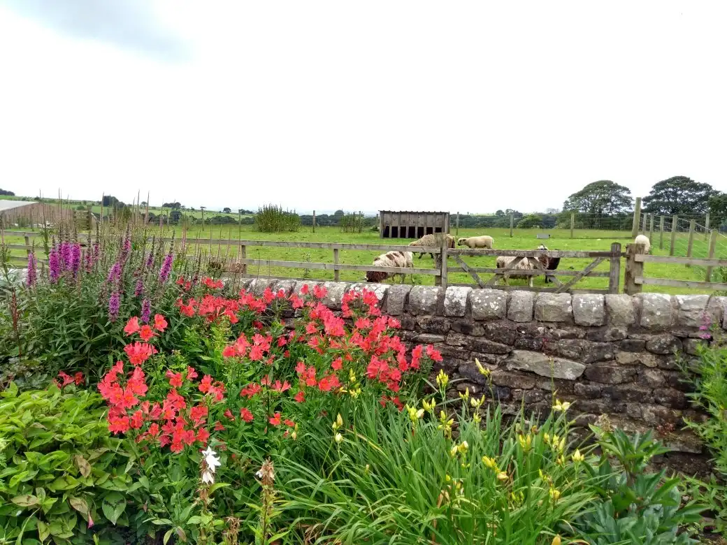 Hotels in der Nähe von Cobble Hey Farm & Gardens