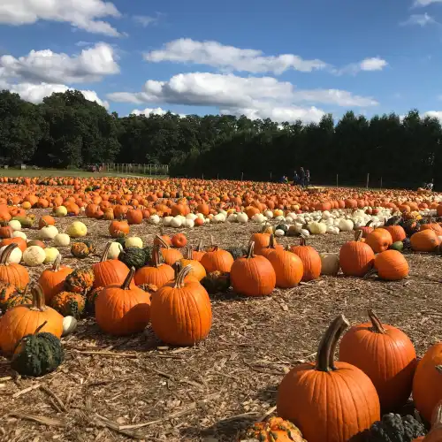 Parlee Farms