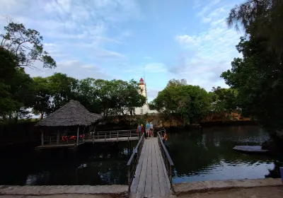 Nungwi