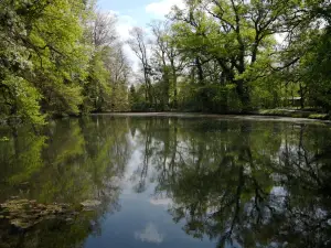 Sárvár Arboretum
