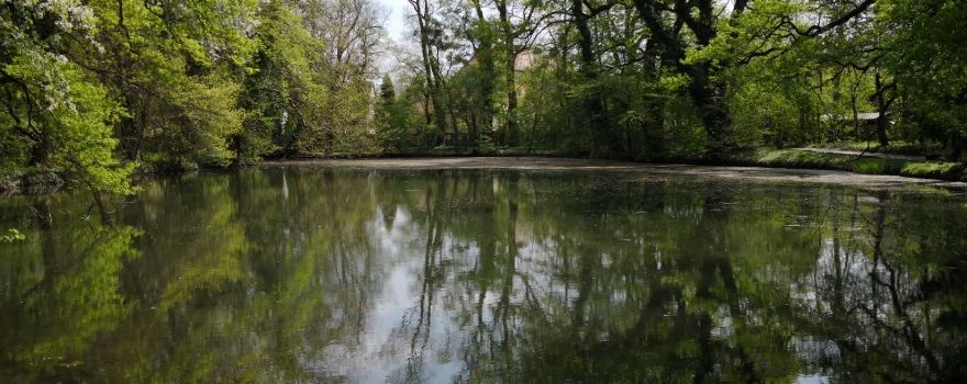 Sárvár Arboretum