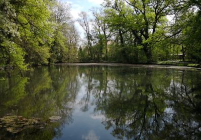 Sárvár Arboretum