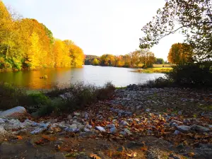 Starve-Hollow State Recreation Area