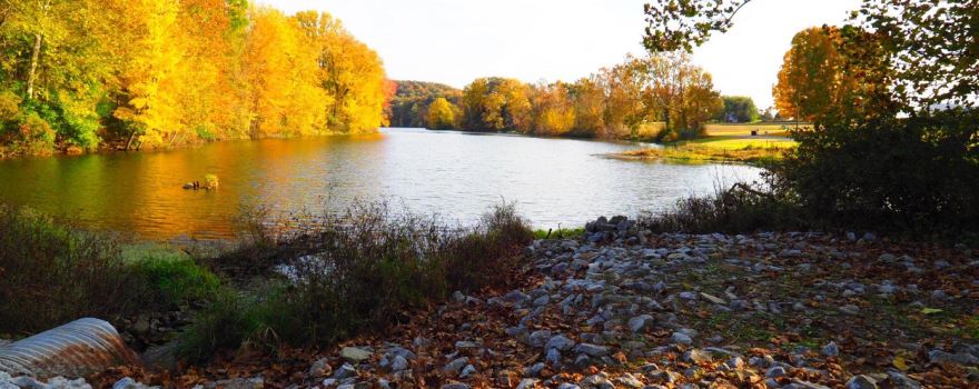 Starve-Hollow State Recreation Area